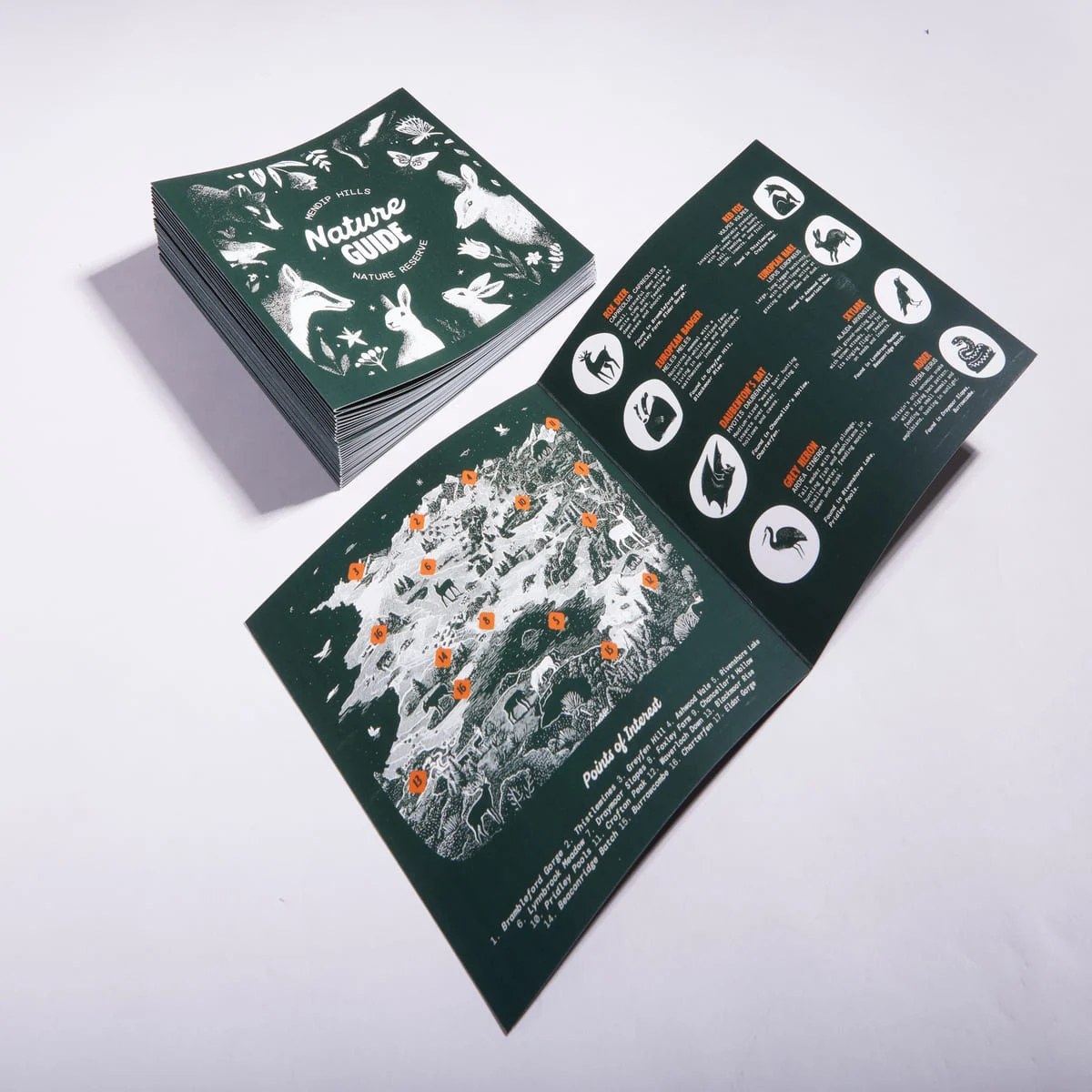 Creased Leaflets