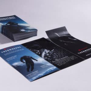 Perforated Folded Leaflets
